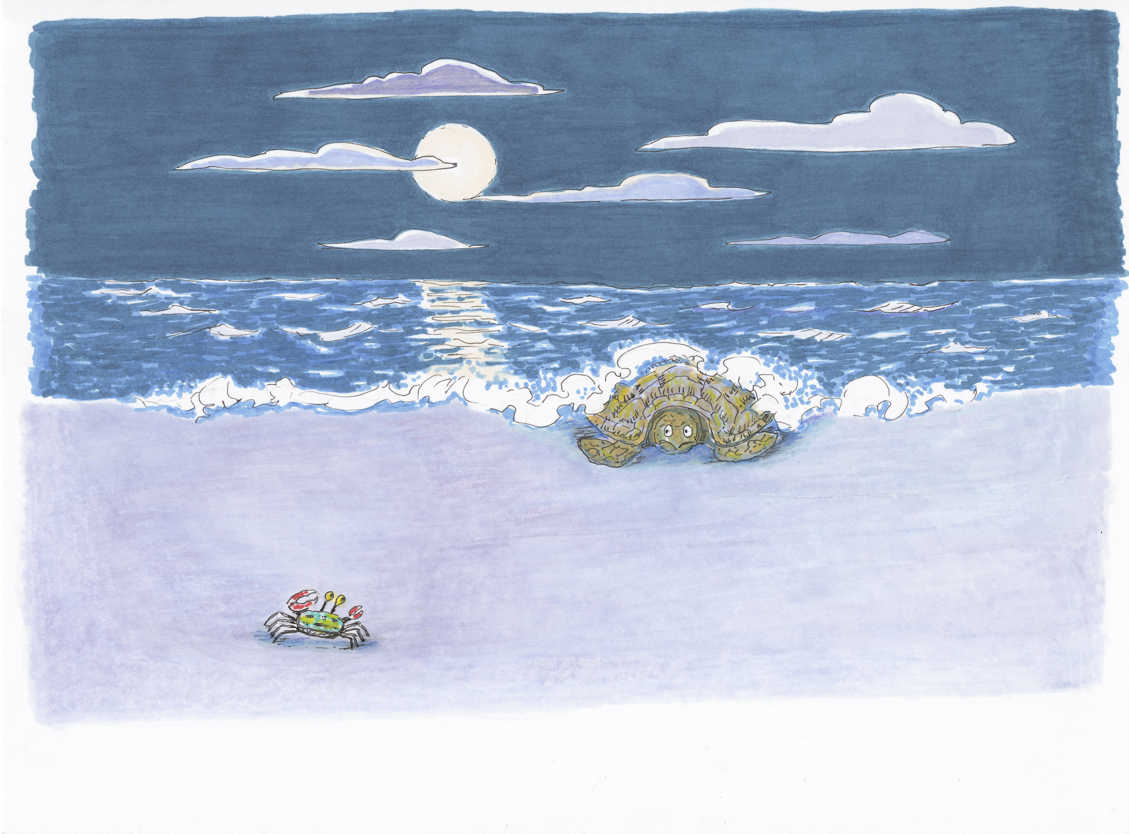 Illustrator portrait